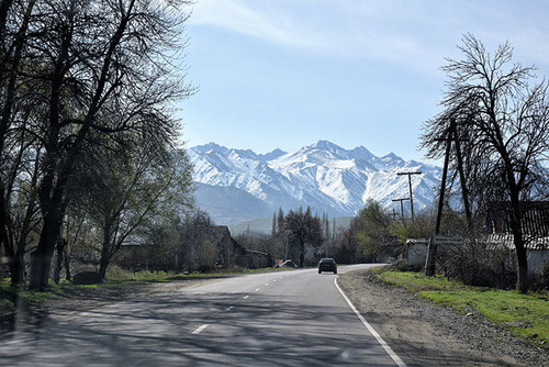 Tien Shan.Kyrgyzstan.1603002