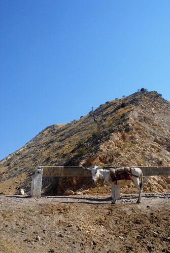 Pamir Tajikistan1510125