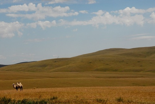 Ulaanbaatar.Mongolia.1408005