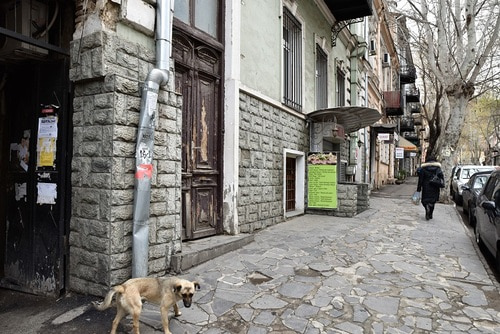 Tbilisi. Georgia. 1603030