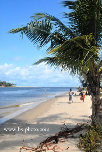 Beach. Ivory Coast 150900