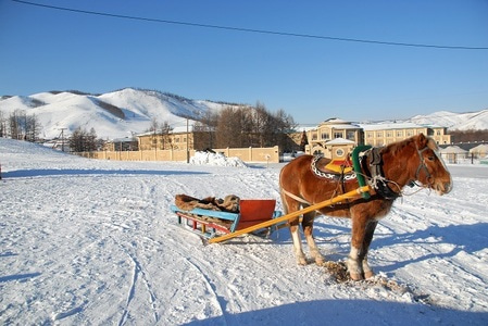 Terelji.Mongolia.1301006