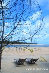 Beach. Ivory Coast. 1509022