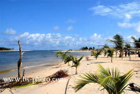 Beach. Ivory Coast. 1509001