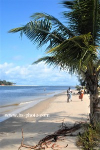 Beach. Ivory Coast. 1509006