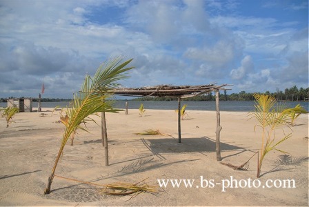 Beach. Ivory Coast. 1509013