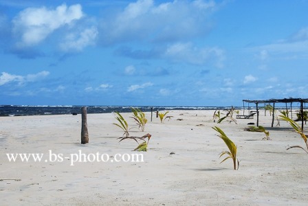 Beach. Ivory Coast. 1509017