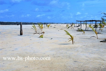 Beach. Ivory Coast. 1509016