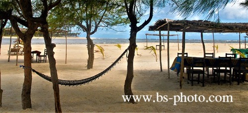 Beach. Ivory Coast. 1509034